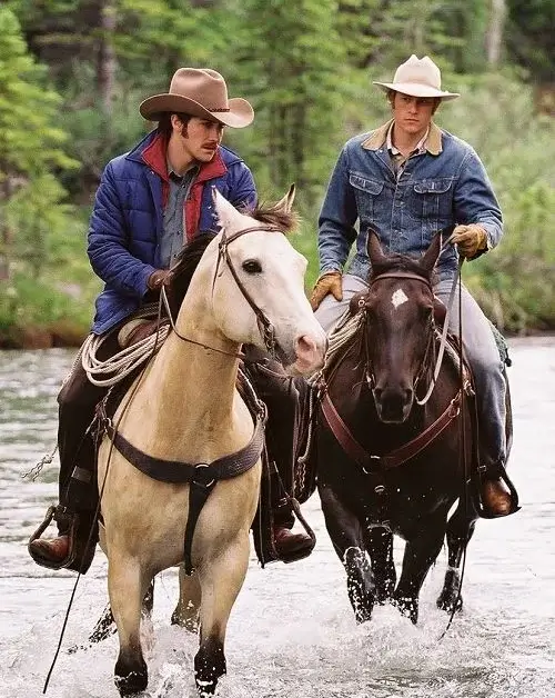 brokeback mountain qutes